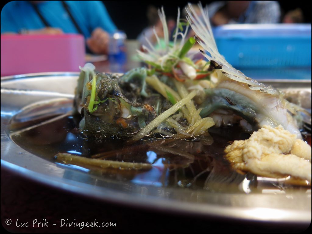 Reste de poisson pierre dans l'assiette